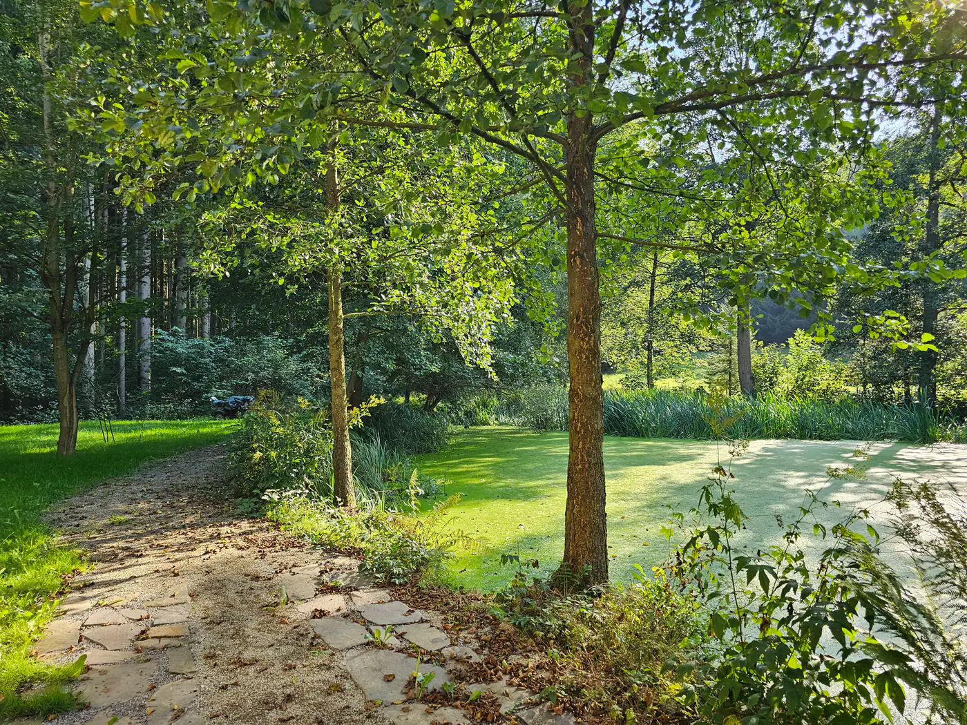 Schwarzmühle — Hof und Garten