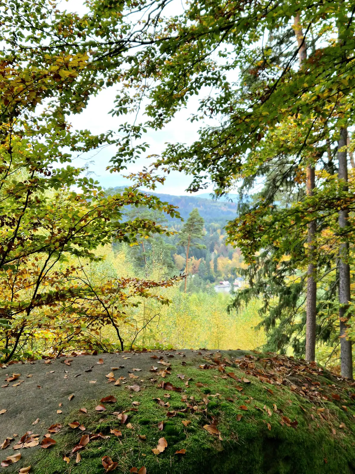 Landschaft im Erzgebirge bei Börnichen