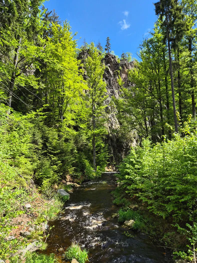 Schwarzwassertal im Erzgebirge
