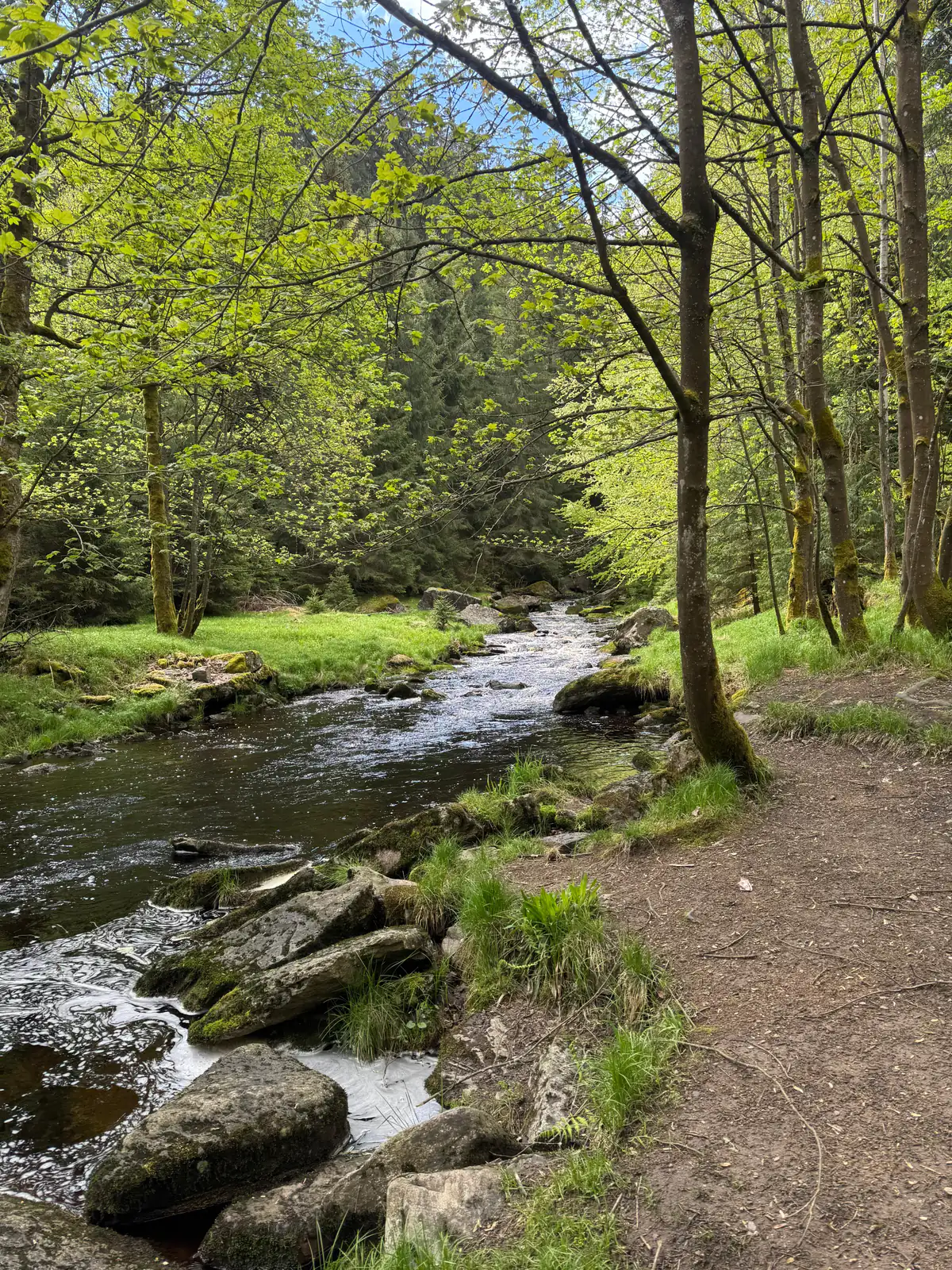 Schwarzwassertal — Wanderung entlang der Schwarzen Pockau